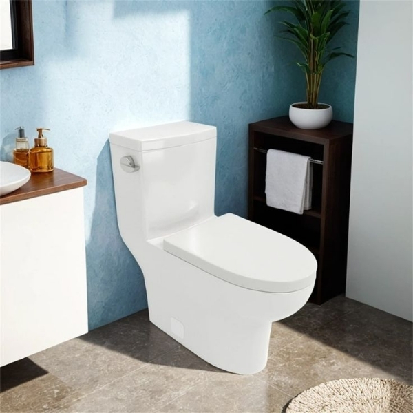 One Piece Toilets